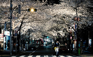 Япон улсад очиж үзэх хүслийг төрүүлэх 31 гэрэл зураг